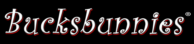 bucksbunnies logo for topless waitress info page
